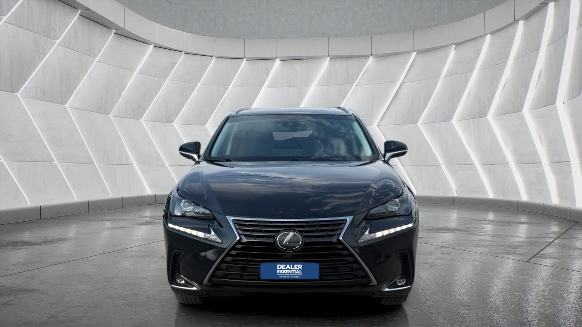 2019 Lexus NX