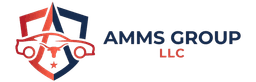 AMMS GROUP LLC